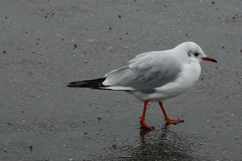 découverte bord de mer