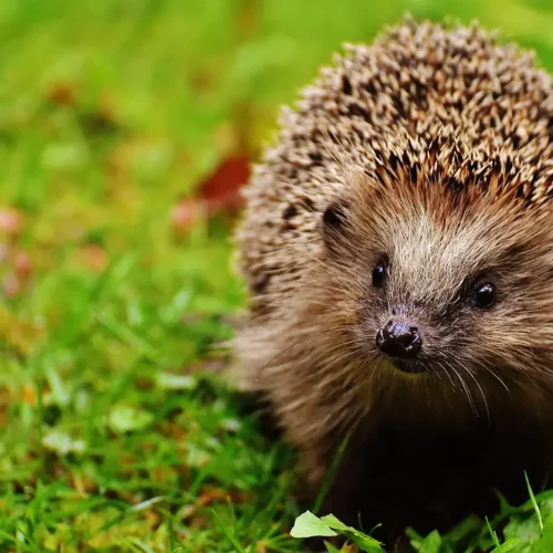 Un environnement respectueux de la nature